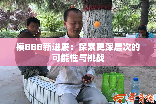 摸BBB新进展：探索更深层次的可能性与挑战