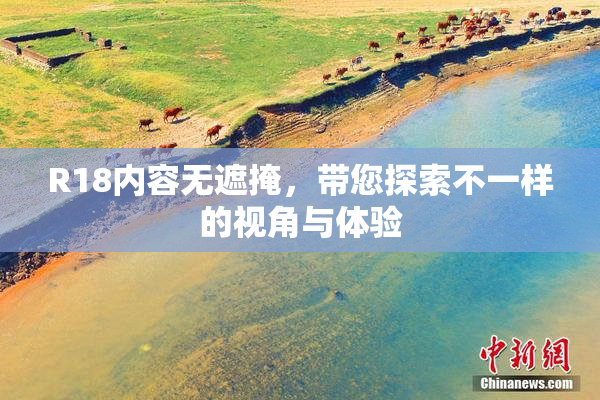 R18内容无遮掩，带您探索不一样的视角与体验