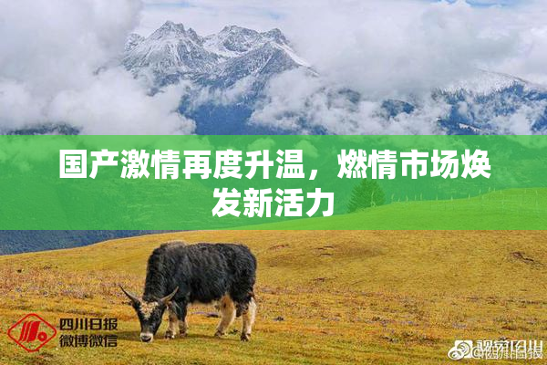 国产激情再度升温，燃情市场焕发新活力