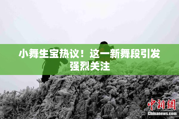 小舞生宝热议！这一新舞段引发强烈关注
