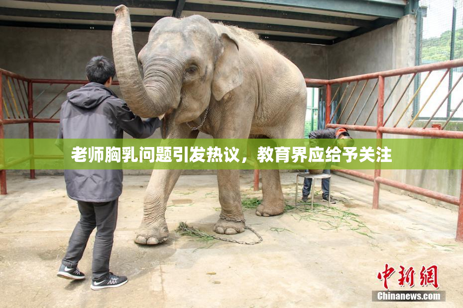 老师胸乳问题引发热议，教育界应给予关注