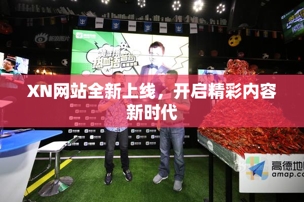 XN网站全新上线，开启精彩内容新时代