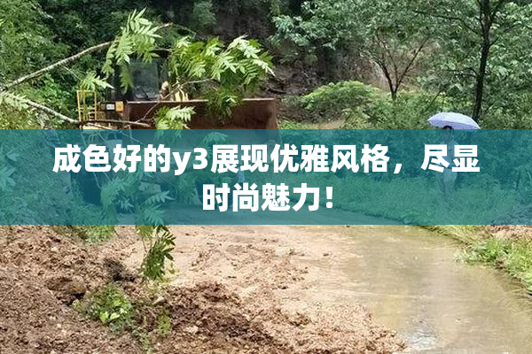 成色好的y3展现优雅风格，尽显时尚魅力！