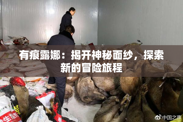 有痕露娜：揭开神秘面纱，探索新的冒险旅程