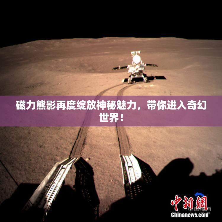 磁力熊影再度绽放神秘魅力，带你进入奇幻世界！