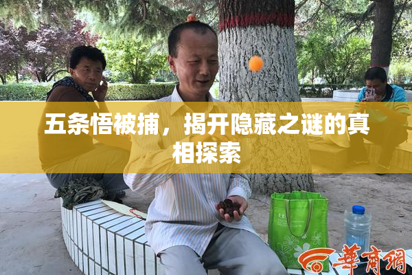 五条悟被捕，揭开隐藏之谜的真相探索