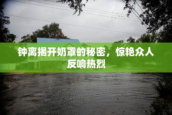 钟离揭开奶罩的秘密，惊艳众人反响热烈