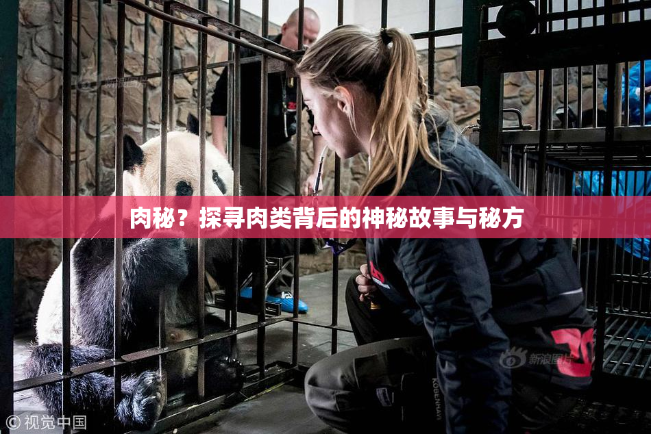 肉秘？探寻肉类背后的神秘故事与秘方