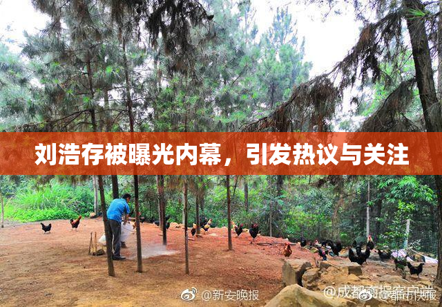 刘浩存被曝光内幕，引发热议与关注