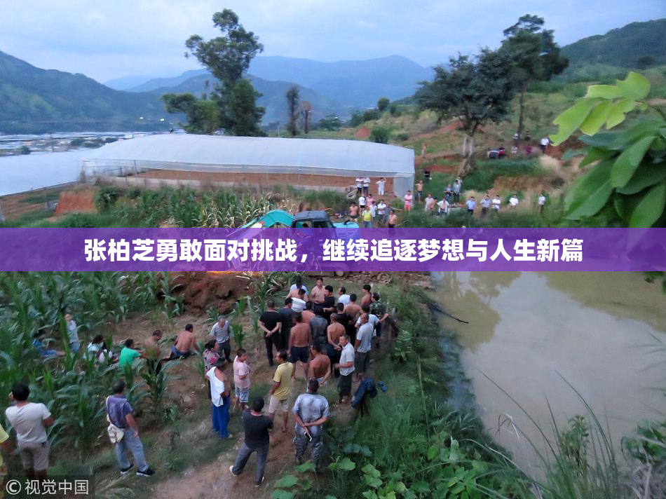 张柏芝勇敢面对挑战，继续追逐梦想与人生新篇