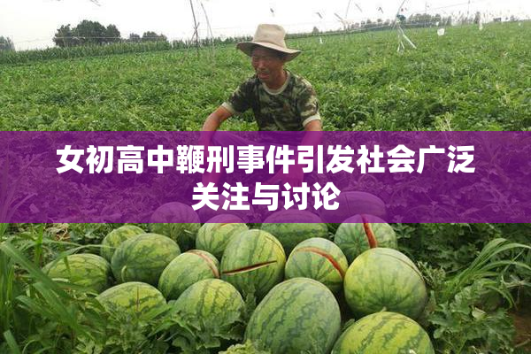女初高中鞭刑事件引发社会广泛关注与讨论