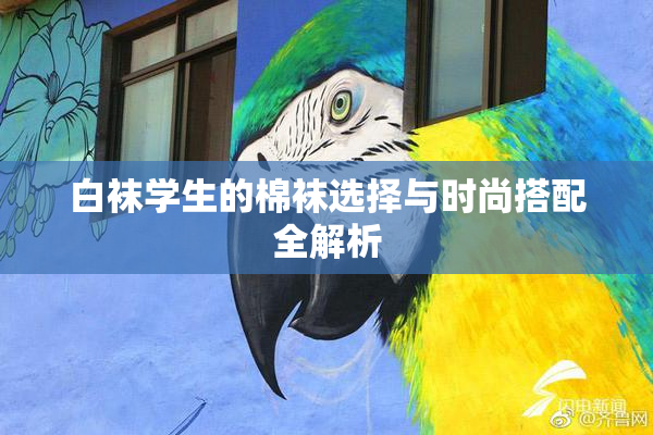 白袜学生的棉袜选择与时尚搭配全解析