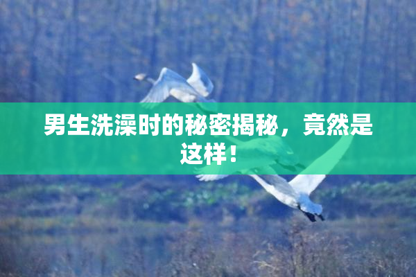 男生洗澡时的秘密揭秘，竟然是这样！