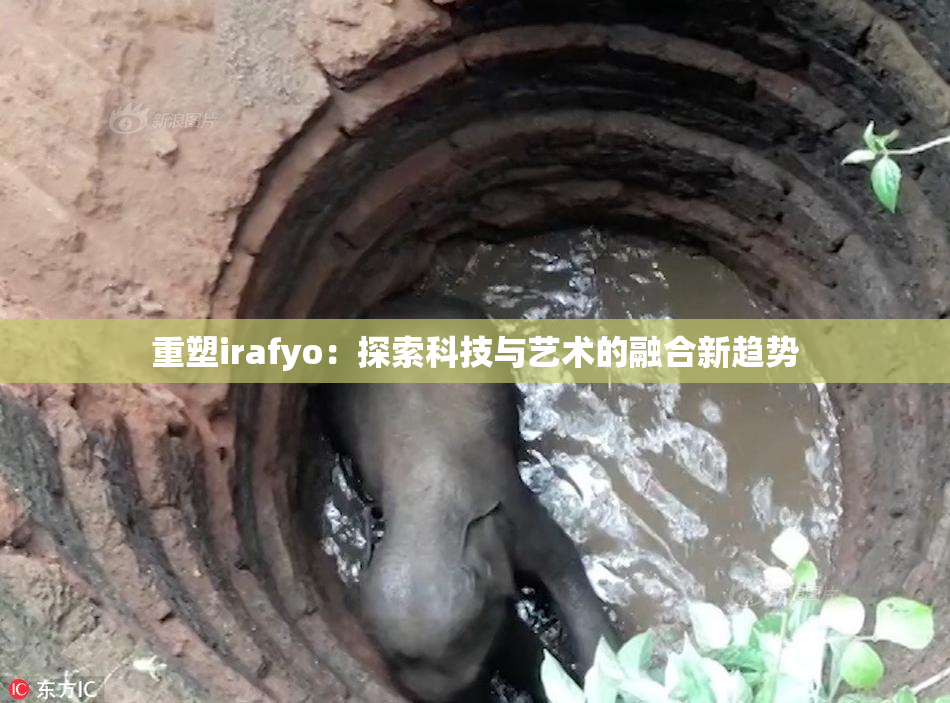 重塑irafyo：探索科技与艺术的融合新趋势