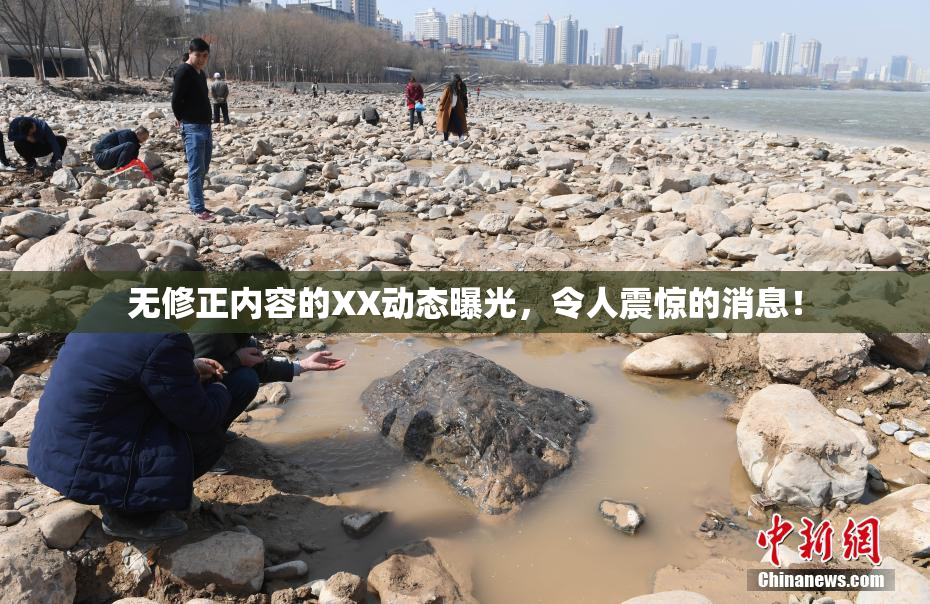 无修正内容的XX动态曝光，令人震惊的消息！