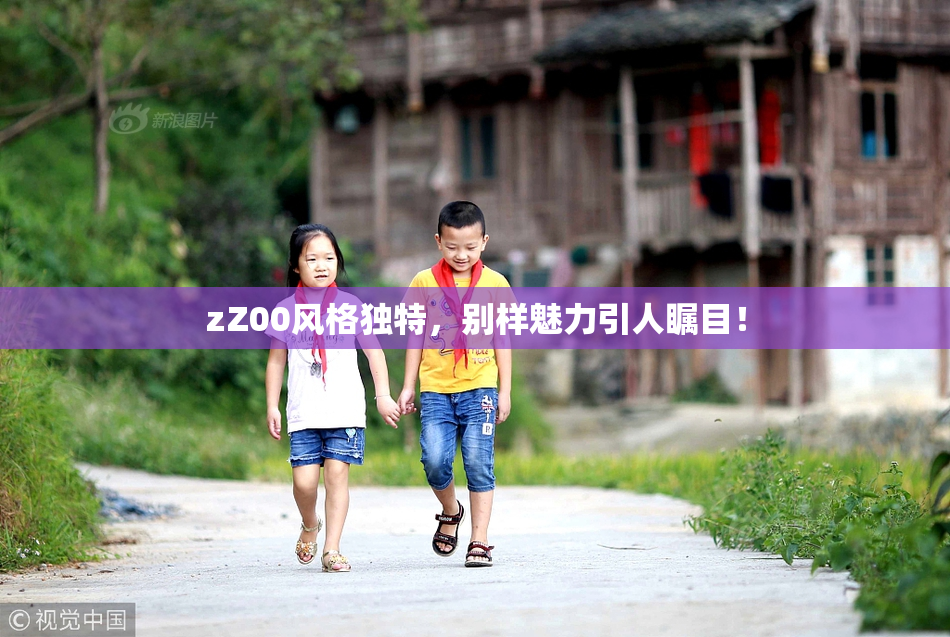 zZ00风格独特，别样魅力引人瞩目！