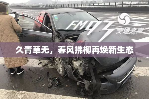 久青草无，春风拂柳再焕新生态