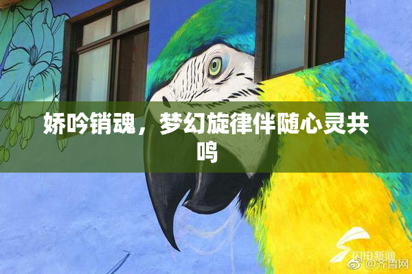 娇吟销魂，梦幻旋律伴随心灵共鸣