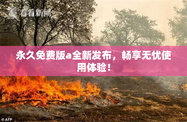 永久免费版a全新发布，畅享无忧使用体验！
