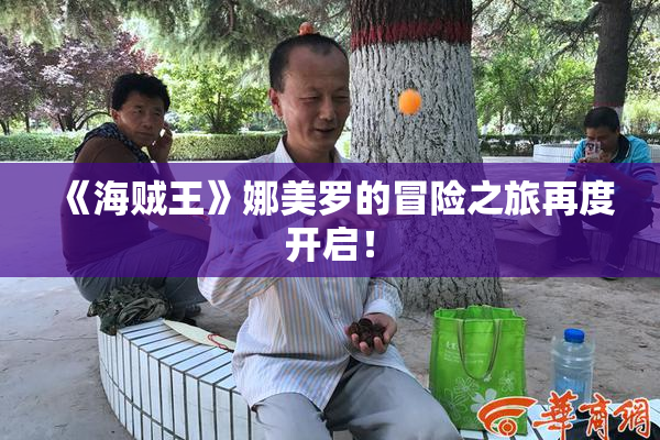 《海贼王》娜美罗的冒险之旅再度开启！