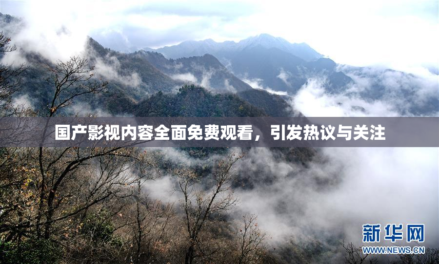 国产影视内容全面免费观看，引发热议与关注