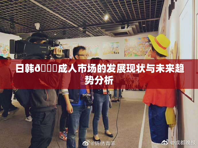 日韩🔞成人市场的发展现状与未来趋势分析