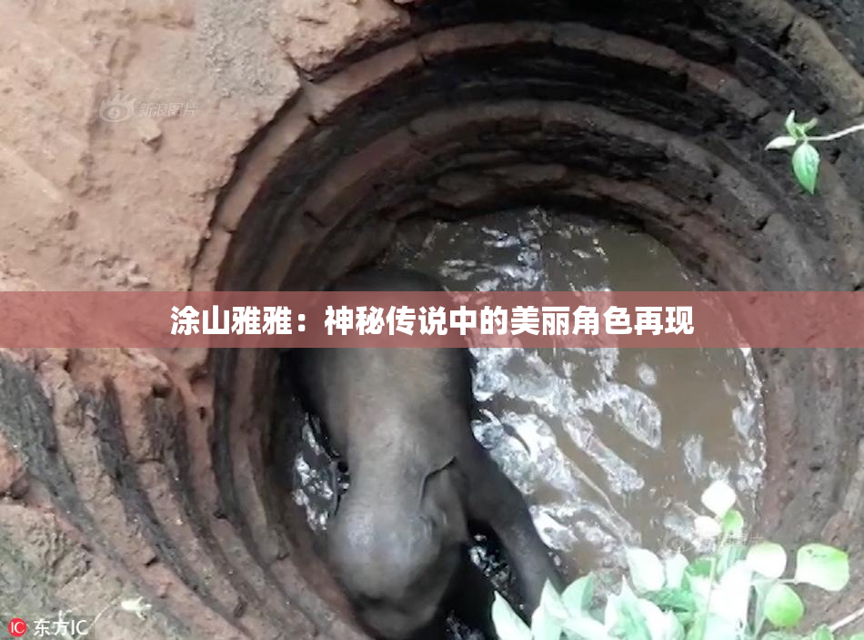 涂山雅雅：神秘传说中的美丽角色再现