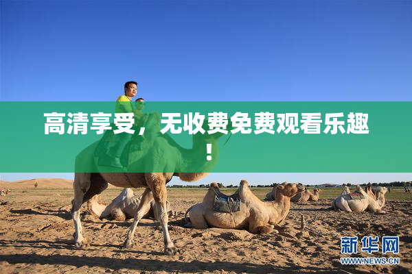 高清享受，无收费免费观看乐趣！