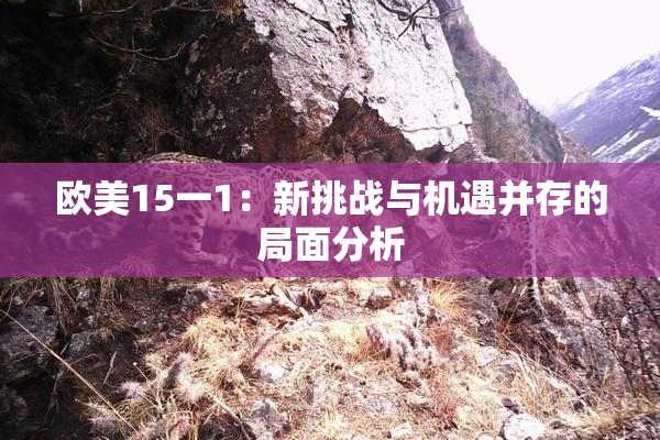 欧美15一1：新挑战与机遇并存的局面分析