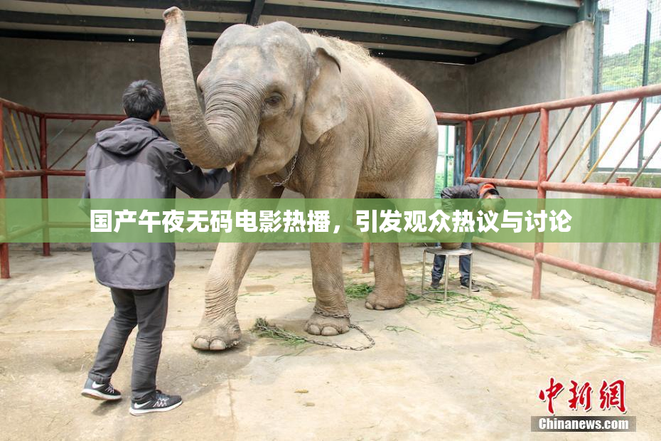 国产午夜无码电影热播，引发观众热议与讨论