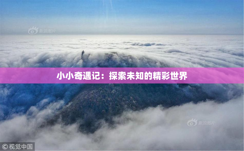 小小奇遇记：探索未知的精彩世界
