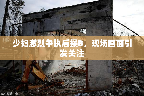 少妇激烈争执后搡B，现场画面引发关注