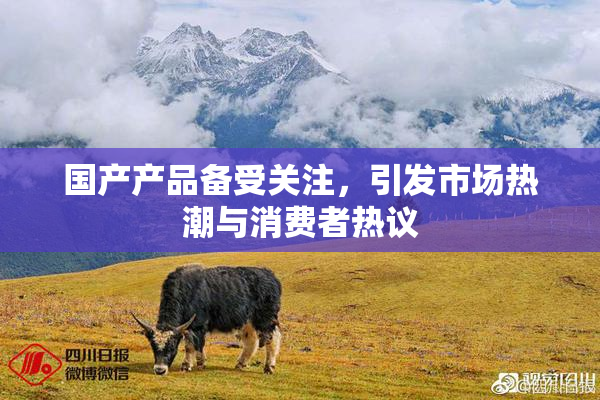 国产产品备受关注，引发市场热潮与消费者热议