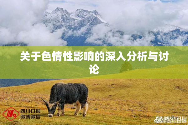 关于色情性影响的深入分析与讨论
