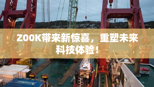 Z00K带来新惊喜，重塑未来科技体验！