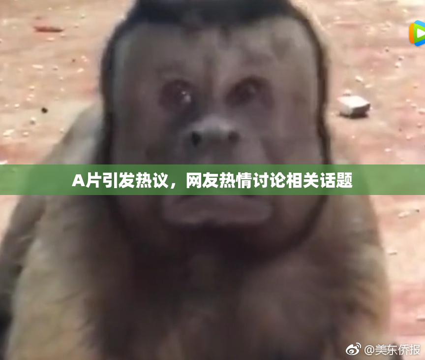 A片引发热议，网友热情讨论相关话题