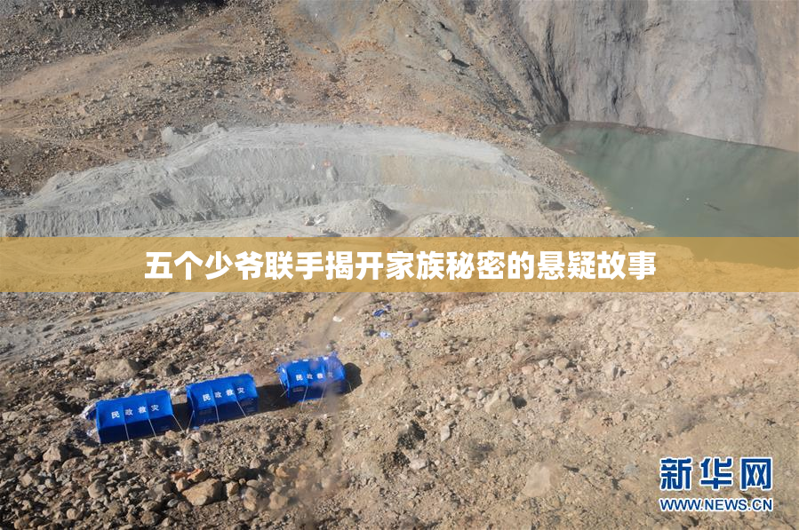 五个少爷联手揭开家族秘密的悬疑故事