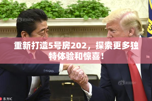重新打造5号房202，探索更多独特体验和惊喜！