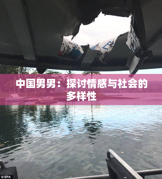 中国男男：探讨情感与社会的多样性