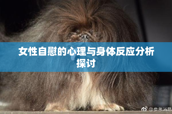 女性自慰的心理与身体反应分析探讨
