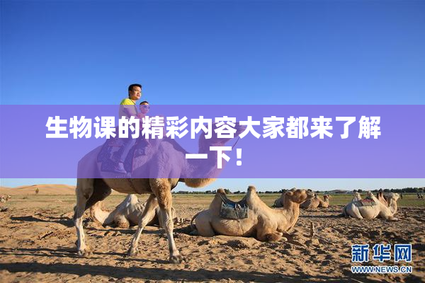 生物课的精彩内容大家都来了解一下！