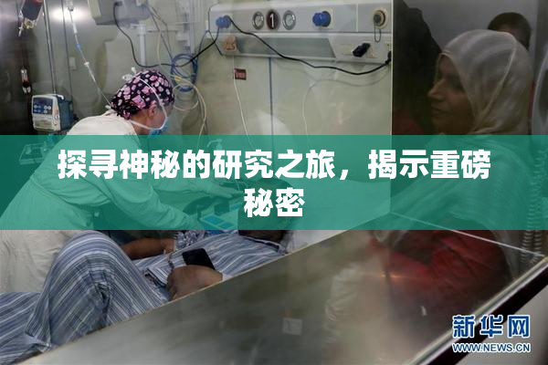 探寻神秘的研究之旅，揭示重磅秘密