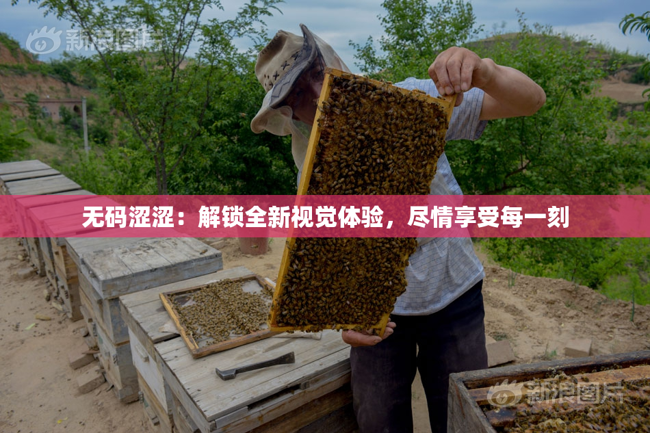 无码涩涩：解锁全新视觉体验，尽情享受每一刻