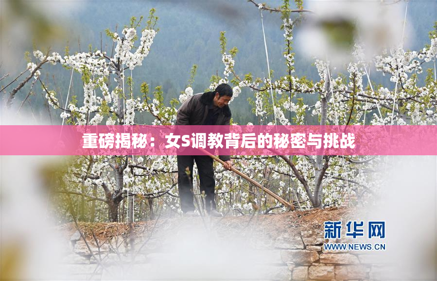 重磅揭秘：女S调教背后的秘密与挑战