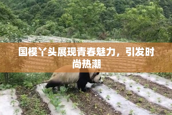国模丫头展现青春魅力，引发时尚热潮