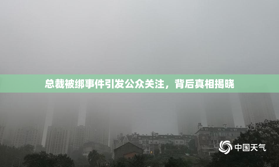 总裁被绑事件引发公众关注，背后真相揭晓