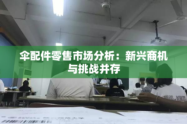 伞配件零售市场分析：新兴商机与挑战并存