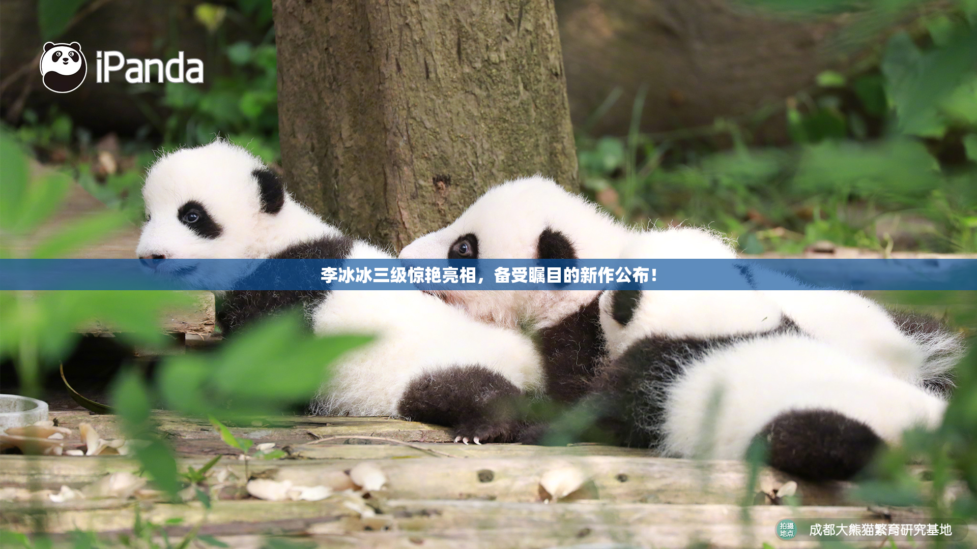 李冰冰三级惊艳亮相，备受瞩目的新作公布！