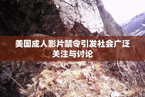 美国成人影片禁令引发社会广泛关注与讨论