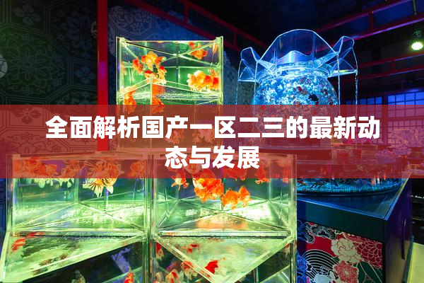 全面解析国产一区二三的最新动态与发展